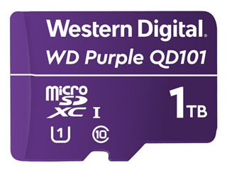 Western Digital WDD100T1P0C WD