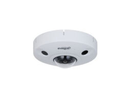 Dahua DH-IPC-EBW8842P-AS-IVC Dahua