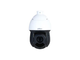 Dahua DH-SD49225DB-HNY Dahua