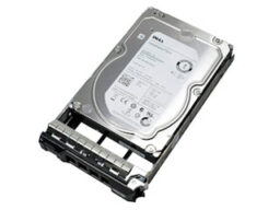 Dell Dell 12TB Near Line SAS 12Gbps 7.2rpm DELL PowerEdge 12 TB HDD 3.5 inch Near Line SAS in 3.5 inch carrier ( pour archive)
