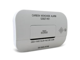 RISCO RWT6CO80000B Détecteur de CO Risco 1 voie sans fil