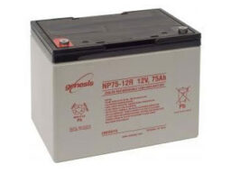 Enersys NP75-12 Enersys NP batterie 12V 75Ah