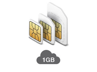 Tele2 IoT Tele2 1GB SIM Tele2 IoT carte SIM pour abonnement avec 1GB. Sur tous nos services "Machine à Machine"