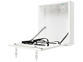 Pulsar AWO529W Pulsar