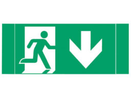 Lixit Lighting OH100PTDW Lixit lighting OH100PTKDW pictogramme symbole flêche vers le bas pour le luminaire HP100