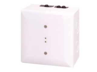 Bosch Fire FLM-420-RHV-S Bosch FLM‑420‑RHV‑S Module d'interface de relais haute tension avec 2 sorties de relais (230 V)