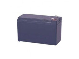 Infosec 61954-Bat12V/5Ah Infosec