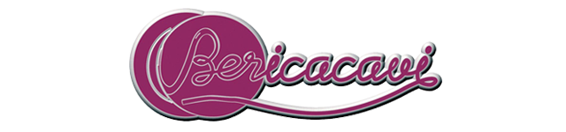 Berica NA 6 fils