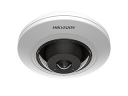 Hikvision DS-2CD3956G2-ISU(1.05mm) Caméra réseau fisheye Hivision 5 MP AcuSense