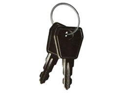 STI CO49-850 STI-C049-850 set de 2 clés de réserve (compatible avec le numéro de clé = 850) pour les STI Stopperkey interrupteurs à clé. Le numéro de clé se trouve sur la clé