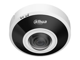 Dahua DH-IPC-EBW5641P-AS Dahua